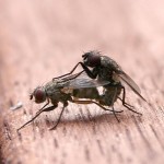 Sex und Partnerschaft